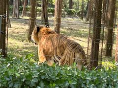 -秦皇岛野生动物园