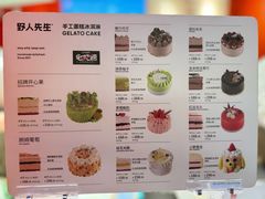 -野人先生现做冰淇淋(北京王府井东方新天地店)