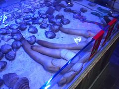 -十六蒲(桂林路店)