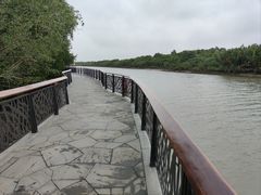 -东寨港红树林旅游区