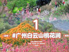 -桃花涧