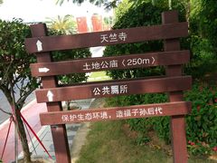 -仙岳公园