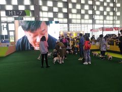 -东浩兰生上海世博展览馆