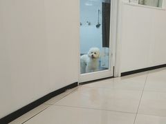 -艾贝尔宠物医院 ·中兽医·宠保定点(北门桥店)
