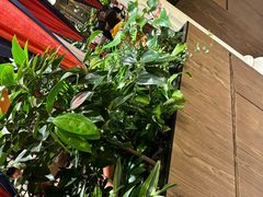 -半秋山西餐厅(巴南万达广场店)