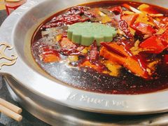 -大龙燚火锅(春熙店)