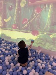 -奈尔宝·儿童乐园·亲子餐厅(华采天地店)