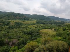 -塞罕坝国家级自然保护区