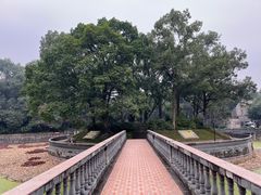 -西南政法大学(沙坪坝校区)