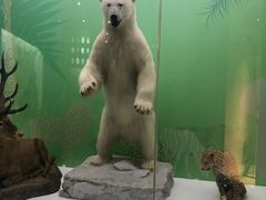 -国家自然博物馆