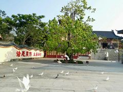 -博鳌禅寺