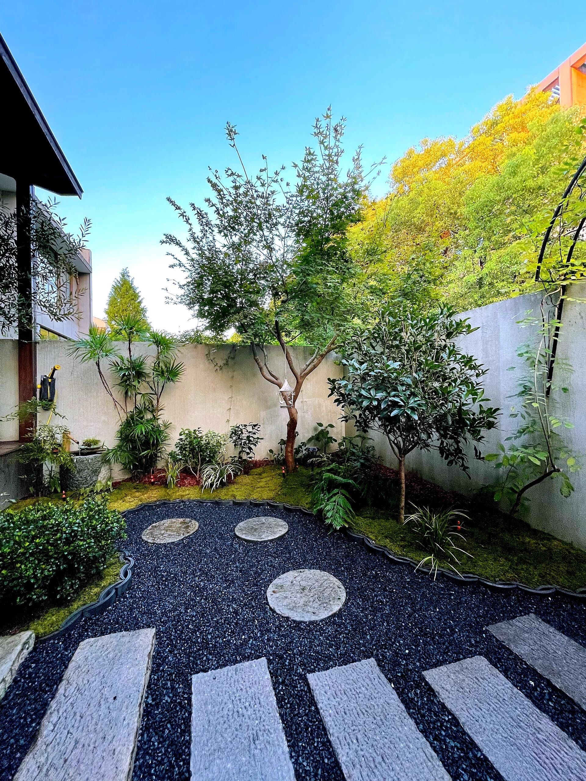 7000爆改小院成果