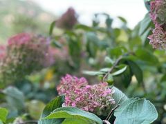 -云峰山自然风景区