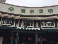 -爱侣宠医·鹦鹉专科·小型哺乳类·异宠专科(灵石路店)