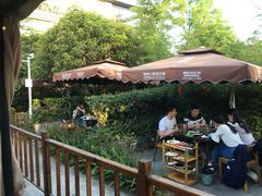 -二荆条·蜀鲜汇城市森林火锅