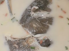 -全乐鱼馆·淳牌有机鱼直营店