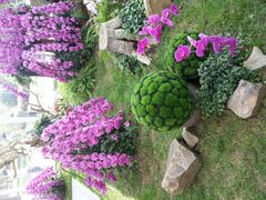 android_upload_pic-上海鲜花港