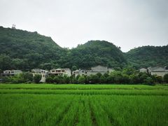 -高荡千年布依古寨旅游景区