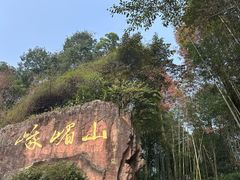 -峨眉山报国寺