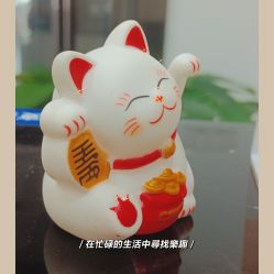 -凡碧诗毛孔收细
