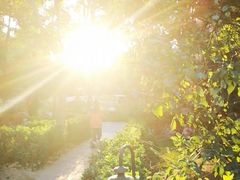 -富悦康养生会所(彩虹新城店)