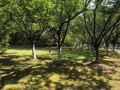 -苏州河梦清园环保主题公园