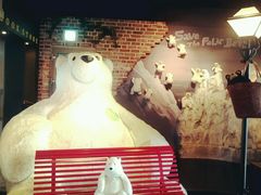 -济州岛泰迪熊博物馆