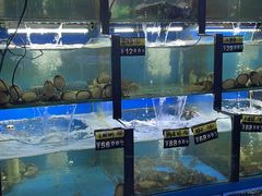 -老东镇啤酒屋海鲜加工·蒸汽海鲜·海鲜烧烤(台东店)