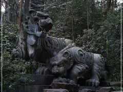 -虎跑公园