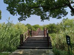 -长兴太湖图影湿地文化园
