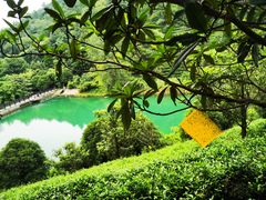 -九龙潭景区