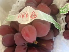 -马陆小张葡萄园农家乐