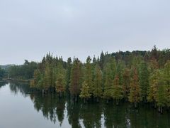 -白鹭湾湿地公园