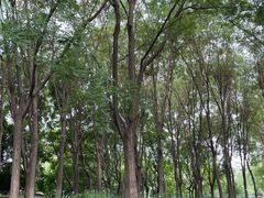 -东升八家郊野公园
