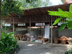 -大象粑粑造纸公园