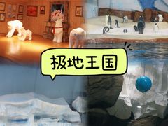-海合安武汉极地海洋公园