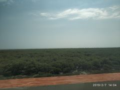 -北海金海湾红树林生态旅游区