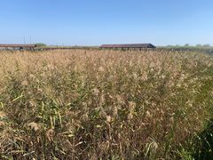 -苏州吴中太湖旅游区