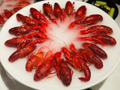 -红盔甲·小龙虾(天钥桥店)