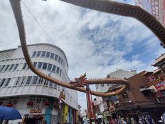 -马六甲鸡场街