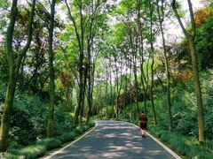 -宜兴龙背山森林公园