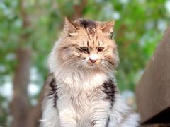 -旧雨咖啡·CoffeeFORU(黄村奥体店)