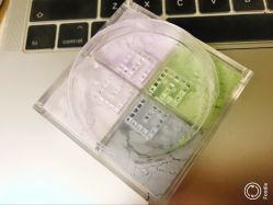 -丝芙兰Sephora