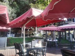 -鹿鸣酒家(越秀店)