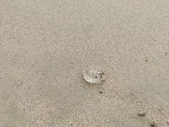 -西涌国际滨海旅游区