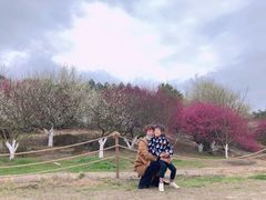 -秀丽东方