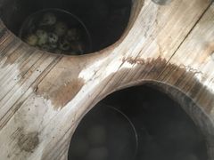 -天目湖涵田半山温泉