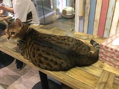 -小时光咖啡馆(开森度假森林店)