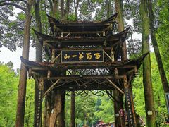 -青城山