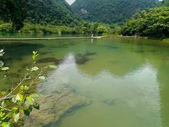 -靖西鹅泉风景区